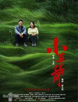 三对鸳鸯一张床国语 封面图